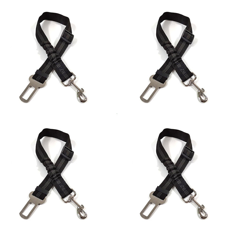 4 Packs (💫Multi Dog Family Set for two dogs and backups💫)