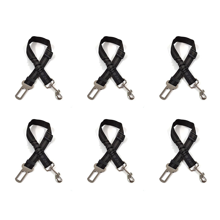 6 Packs (Travel Stock Up Set for family pets and extra spares)