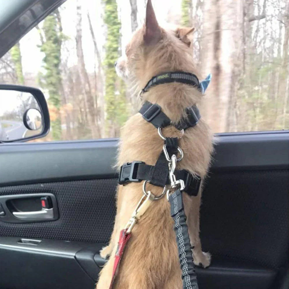 UP|Dlesmy®Dog Seat Belts Headrest Restraint Puppy Safety Adjustable Dog Car Seatbelts and Strong Leash Leads Accessories for Dogs Cats Pets Black