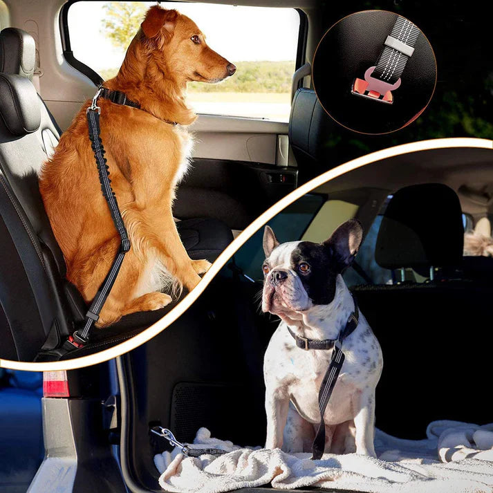 UP|Dlesmy®Dog Seat Belts Headrest Restraint Puppy Safety Adjustable Dog Car Seatbelts and Strong Leash Leads Accessories for Dogs Cats Pets Black
