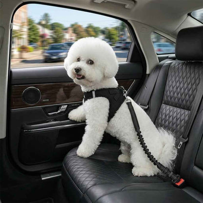 UP|Dlesmy®Dog Seat Belts Headrest Restraint Puppy Safety Adjustable Dog Car Seatbelts and Strong Leash Leads Accessories for Dogs Cats Pets Black
